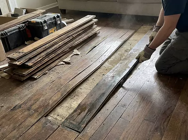 Water Damage Drying in Clarkston
