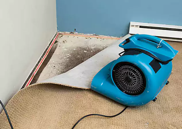 Your Water Damage Experts in Clarkston, GA