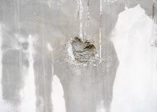 Your Mold Mitigation Solutions Partner in Clarkston, GA