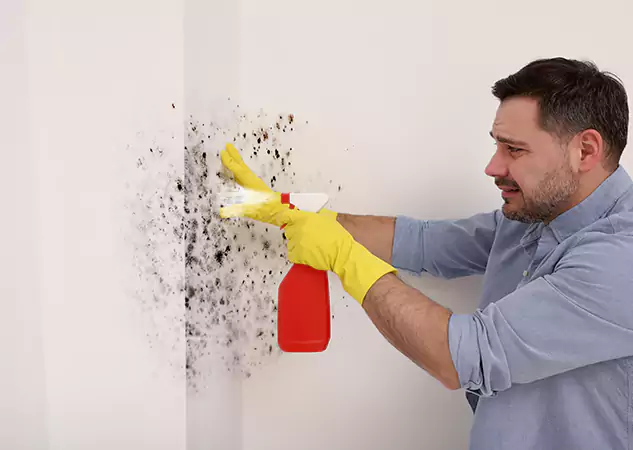 Your Water Mold Fire Restoration Partner in Clarkston, GA