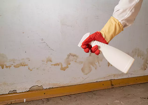 Your Water Restoration and Mold Remediation Specialists in Clarkston, GA