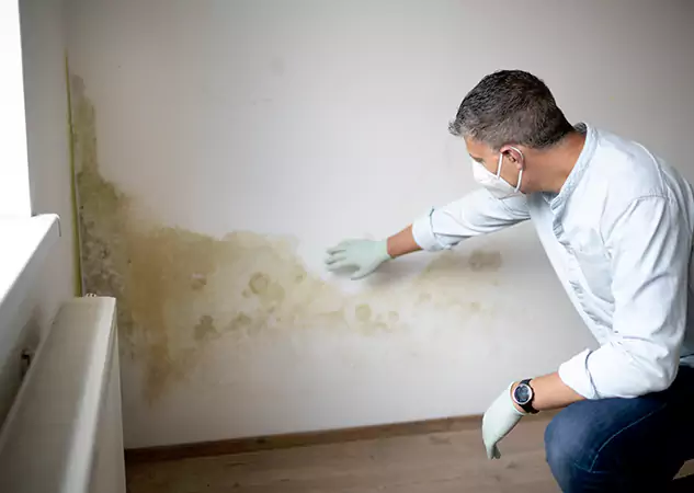 Reach Our Remediation Team Before Damage Grows in Clarkston, GA!