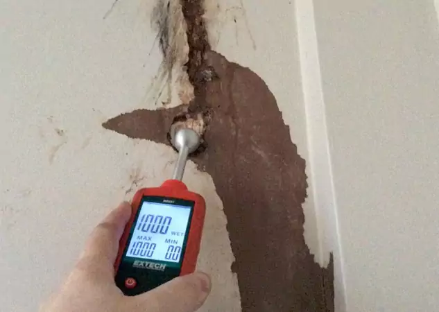 Your Water Damage Assessment Partner in Clarkston, GA