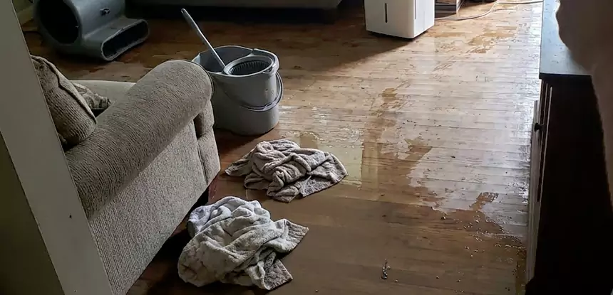 Professional Basement Water Remediation Services in Clarkston, GA