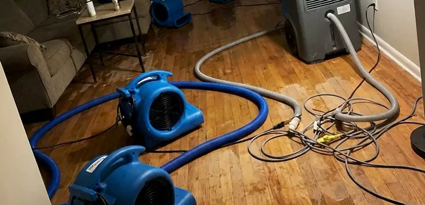 Basement Flood Restoration Services in Clarkston