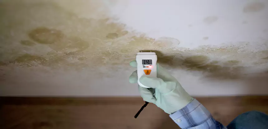 Emergency Mold Remediation in Clarkston