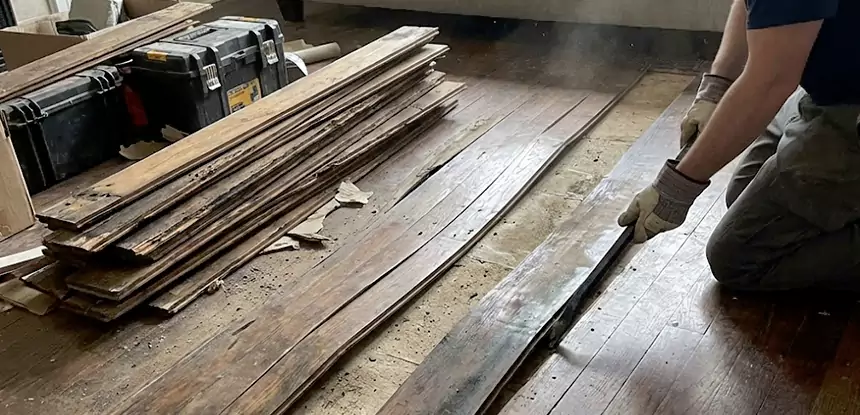 Wood Rot and Fungus Repair in Clarkston