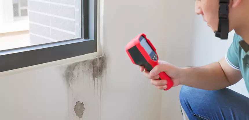 Wall Texture Repair After Mold in Clarkston