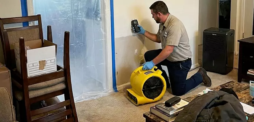 Carpet Water Damage Repair Clarkston