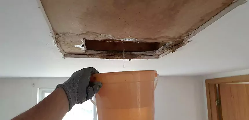 Ceiling Mold Repair Clarkston