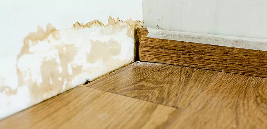 Professional Fix Water Damaged Wood Services in Clarkston, GA