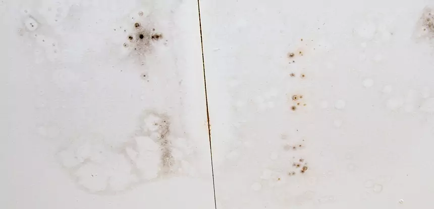 Professional Water Stain Repair Services in Clarkston, GA