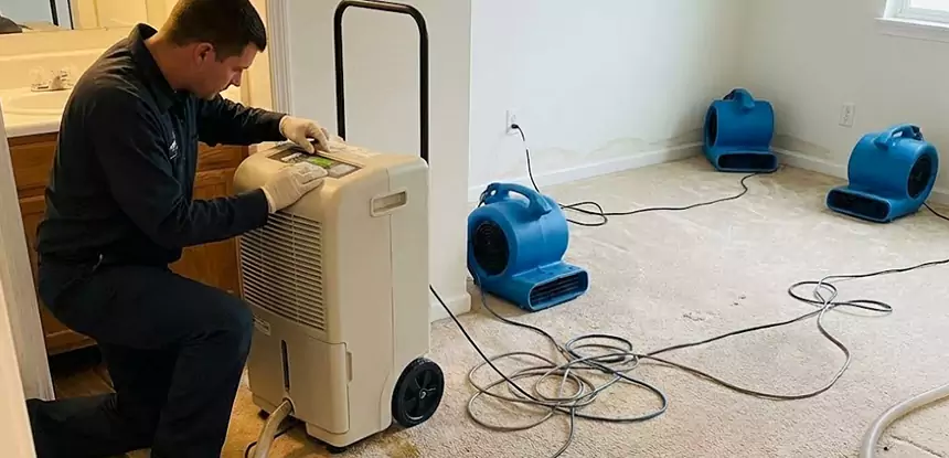 Professional Wet Carpet Removal Services in Clarkston, GA