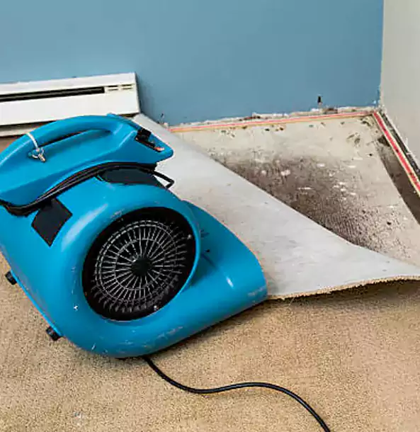 Why Clarkston Trusts Clarkston Restoration Pro for Carpet Flood Recovery?