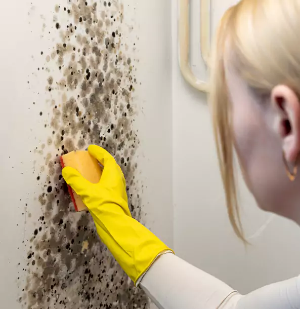 Why Clarkston Restoration Pro Leads Mold Remediation in Clarkston?