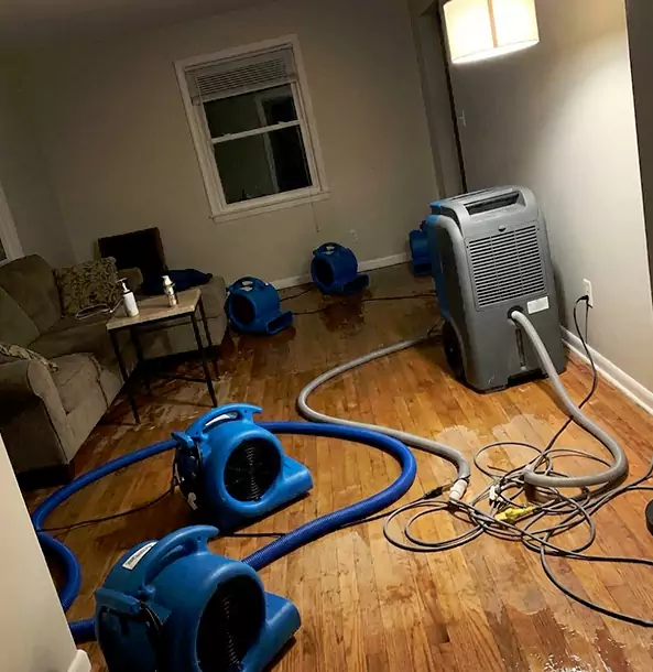 Why Clarkston Property Owners Rely on Clarkston Restoration Pro for Remediation?