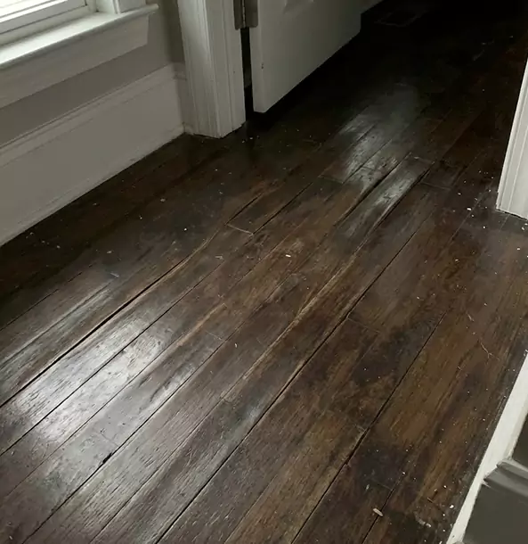 Why Clarkston Homeowners Trust Clarkston Restoration Pro to Fix Water Damaged Wood?