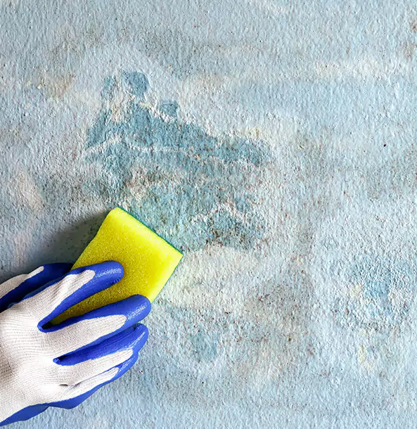 Why Clarkston Restoration Pro Is the Right Choice in Clarkston, GA?