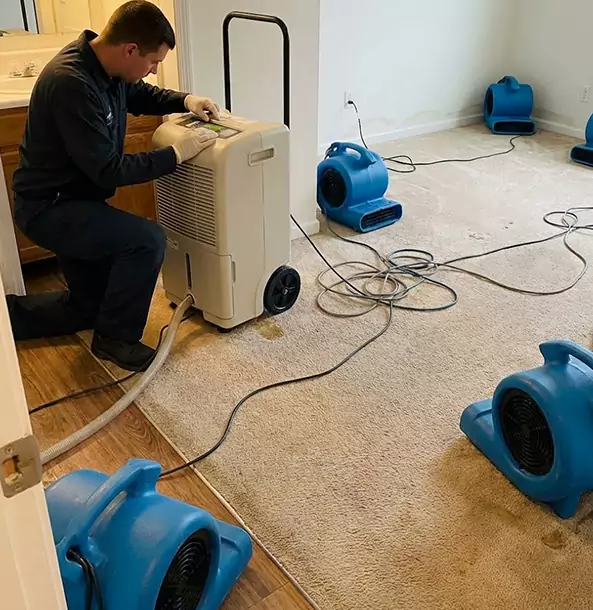 Why Clarkston Homeowners and Businesses Trust Clarkston Restoration Pro for Carpet Drying?