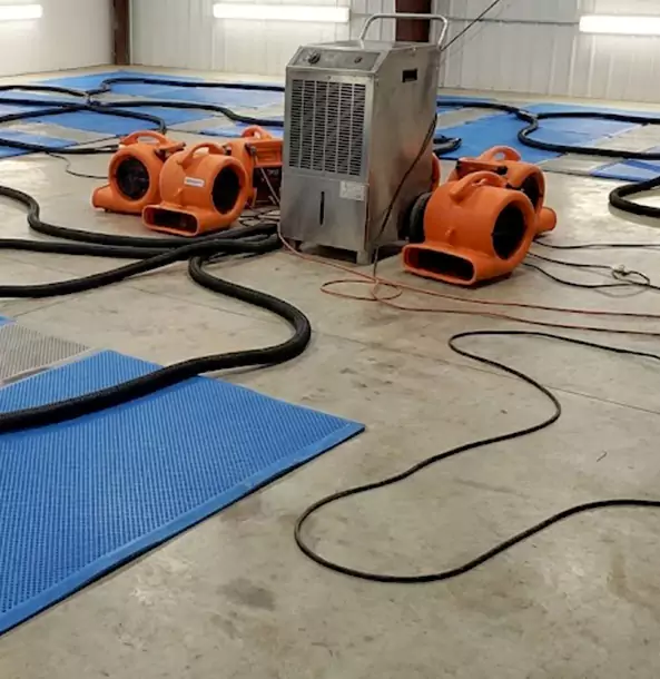 Why Clarkston Homeowners and Businesses Choose Clarkston Restoration Pro for Wet Carpet Removal?