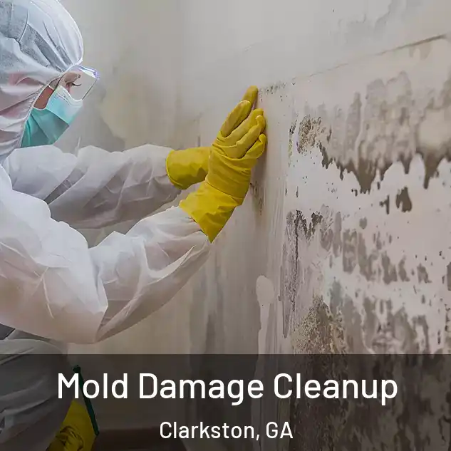  Mold Damage Cleanup Clarkston, GA