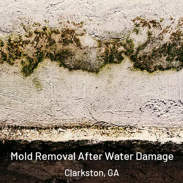  Mold Removal After Water Damage Clarkston, GA