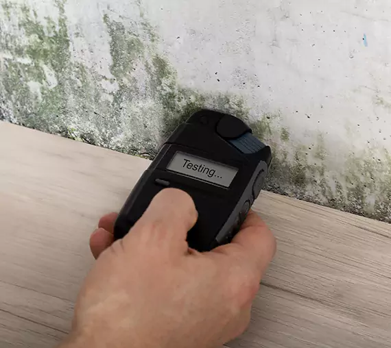 Mold Remediation Service Clarkston
