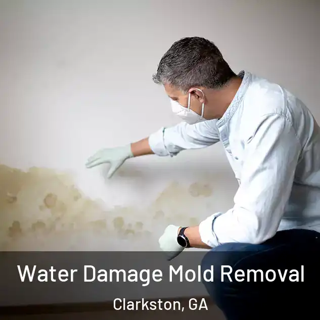  Water Damage Mold Removal Clarkston, GA
